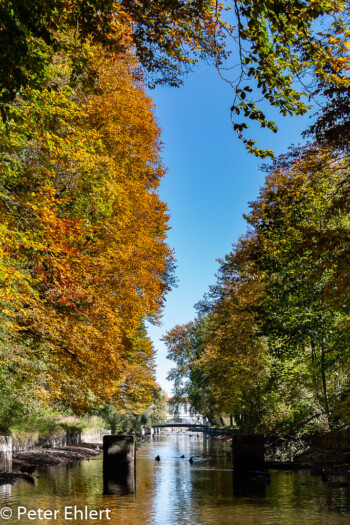 Herbstlaub  München Bayern Deutschland by Peter Ehlert in MUC-Nyphenburg