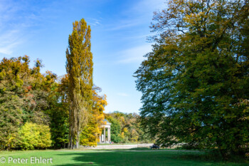 Wiese mit Apollo Tempel  München Bayern Deutschland by Peter Ehlert in MUC-Nyphenburg