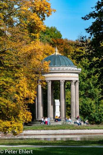 Apollo tempel  München Bayern Deutschland by Peter Ehlert in MUC-Nyphenburg