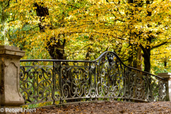 Brücke  München Bayern Deutschland by Peter Ehlert in MUC-Nyphenburg