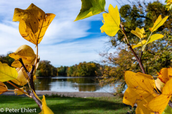 Badenburger See  München Bayern Deutschland by Peter Ehlert in MUC-Nyphenburg