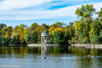 Badenburger See mit Apollo Tempel  München Bayern Deutschland by Peter Ehlert in MUC-Nyphenburg