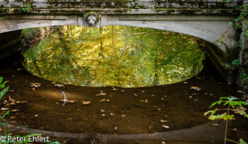 Brücke  München Bayern Deutschland by Peter Ehlert in MUC-Nyphenburg