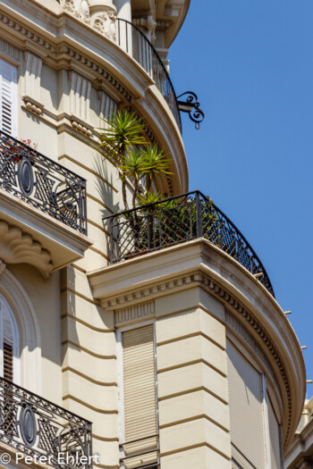 Balkon mit Palmen  Valencia Provinz Valencia Spanien by Lara Ehlert in Valencia_Rathaus_Hauptpost