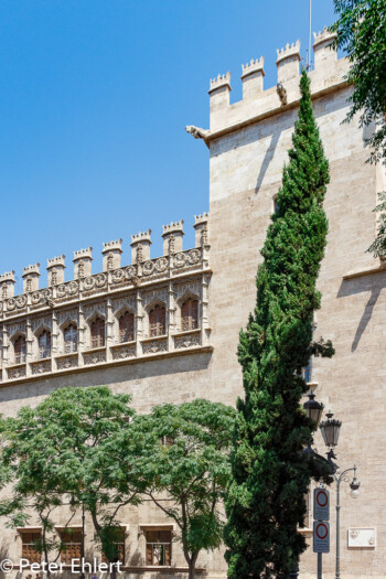 Aussenansicht  Valencia Provinz Valencia Spanien by Lara Ehlert in Valencia_Seidenbörse