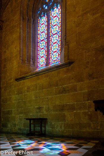 Mosaikfenster mit Licht auf Boden  Valencia Provinz Valencia Spanien by Peter Ehlert in Valencia_Seidenbörse