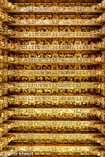 Vergoldete decke im Prunksaal  Valencia Provinz Valencia Spanien by Peter Ehlert in Valencia_Seidenbörse