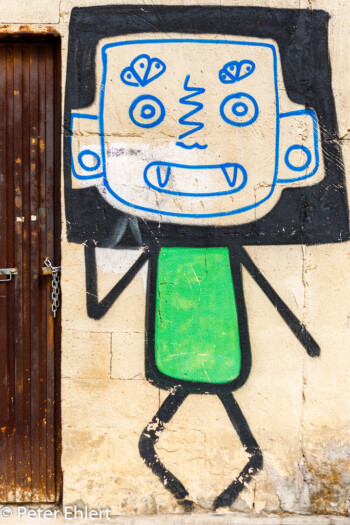 Street Art  Valencia Provinz Valencia Spanien by Peter Ehlert in Valencia_Cabanyal