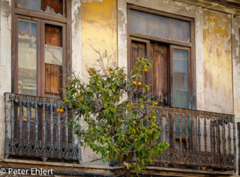Lost Places  Valencia Provinz Valencia Spanien by Peter Ehlert in Valencia_Cabanyal