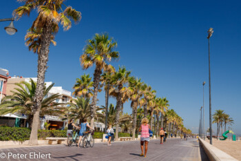 Promenade mit Grünstreifen  Valencia Provinz Valencia Spanien by Peter Ehlert in Valencia_canbanyal_strand