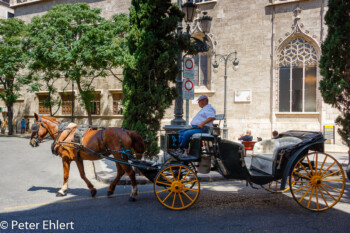 Pferdekutsche vor Seidenbörse  Valencia Provinz Valencia Spanien by Lara Ehlert in Valencia_Stadtrundgang
