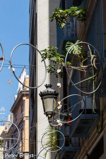 Strassenschmuck  Valencia Provinz Valencia Spanien by Lara Ehlert in Valencia_Stadtrundgang