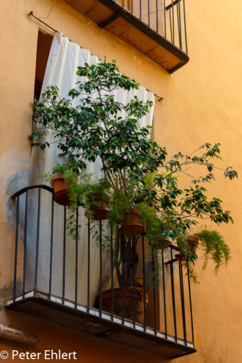 Balkon mit Pflanzen  Valencia Provinz Valencia Spanien by Lara Ehlert in Valencia_Stadtrundgang