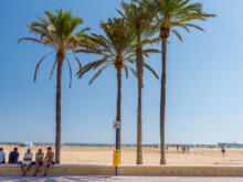 Promenade mit Palmen  Valencia Provinz Valencia Spanien by Peter Ehlert in Valencia_canbanyal_strand