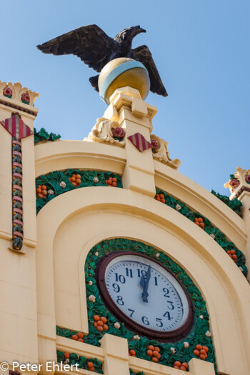 Adler auf Portal  Valencia Provinz Valencia Spanien by Lara Ehlert in Valencia_Nordbahnhof