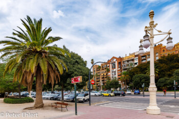 Laterne und Palme  Valencia Provinz Valencia Spanien by Peter Ehlert in Valencia_Turia