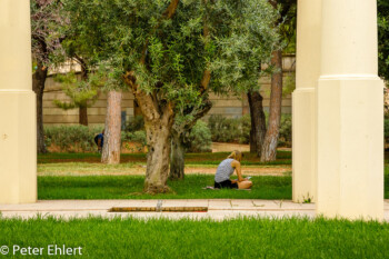 Pause  Valencia Provinz Valencia Spanien by Peter Ehlert in Valencia_Turia