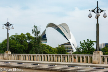 Palau de les Arts Reina Sofía  Valencia Provinz Valencia Spanien by Lara Ehlert in Valencia_Turia