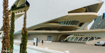 Palau de les Arts Reina Sofía  Valencia Provinz Valencia Spanien by Peter Ehlert in Valencia_Arts i Ciences