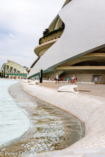 Palau de les Arts Reina Sofía  Valencia Provinz Valencia Spanien by Peter Ehlert in Valencia_Arts i Ciences