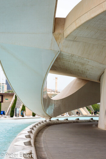 Palau de les Arts Reina Sofía  Valencia Provinz Valencia Spanien by Peter Ehlert in Valencia_Arts i Ciences