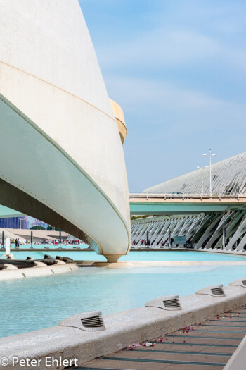 Palau de les Arts Reina Sofía  Valencia Provinz Valencia Spanien by Peter Ehlert in Valencia_Arts i Ciences