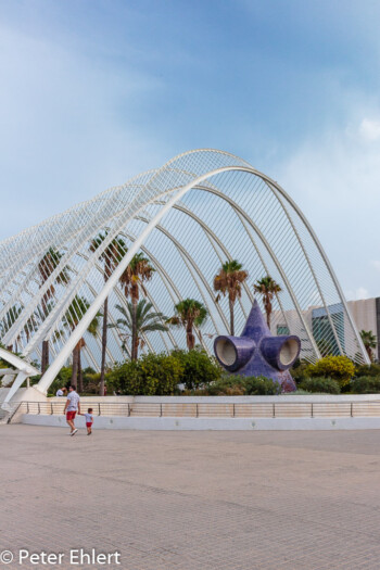 Umbracle  Valencia Provinz Valencia Spanien by Lara Ehlert in Valencia_Arts i Ciences