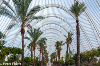 Umbracle  Valencia Provinz Valencia Spanien by Lara Ehlert in Valencia_Arts i Ciences