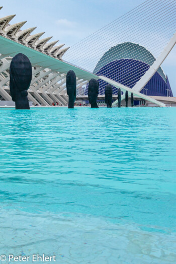 Museu de les Ciències Príncep Felip, Faces und Agora  Valencia Provinz Valencia Spanien by Lara Ehlert in Valencia_Arts i Ciences