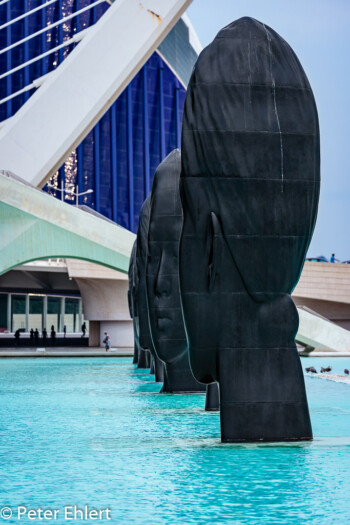 Jaume Plensa - Faces  Valencia Provinz Valencia Spanien by Peter Ehlert in Valencia_Arts i Ciences