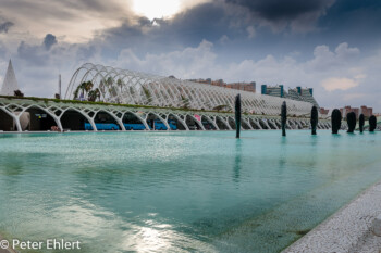 Unbracle mit Superficies de Agua  Valencia Provinz Valencia Spanien by Peter Ehlert in Valencia_Arts i Ciences