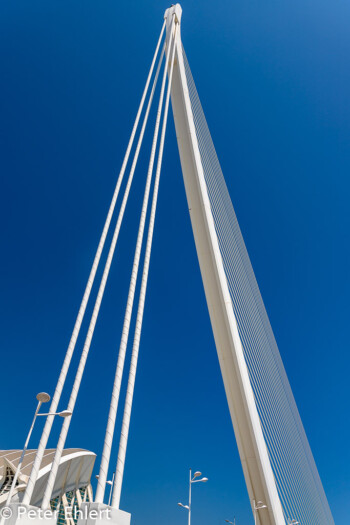 Assut de l'Or Brücke  Valencia Provinz Valencia Spanien by Peter Ehlert in Valencia_Arts i Ciences