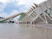 Aussenansicht  Valencia Provinz Valencia Spanien by Peter Ehlert in Valencia_Museu_Ciences