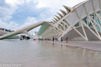 Aussenansicht  Valencia Provinz Valencia Spanien by Peter Ehlert in Valencia_Museu_Ciences