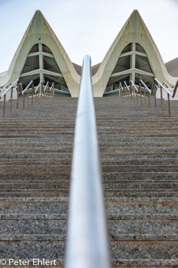 Treppe mit Dach  Valencia Provinz Valencia Spanien by Peter Ehlert in Valencia_Museu_Ciences