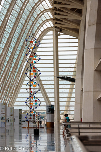 DNA Helix  Valencia Provinz Valencia Spanien by Peter Ehlert in Valencia_Museu_Ciences