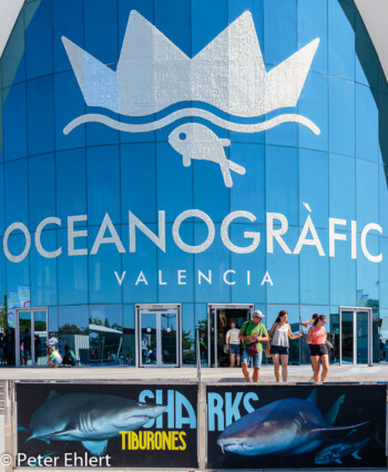 Eingangsgebäude  Valencia Provinz Valencia Spanien by Lara Ehlert in Valencia_Oceanografic