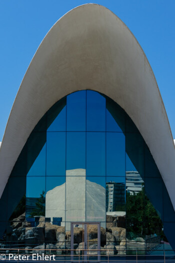 Restaurante Submarino  Valencia Provinz Valencia Spanien by Peter Ehlert in Valencia_Oceanografic