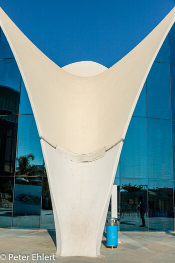 Strebe am Eingangsgebäude  Valencia Provinz Valencia Spanien by Peter Ehlert in Valencia_Oceanografic