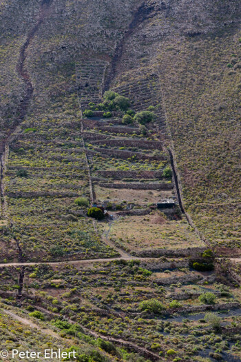 Terrassenanbau  Haría Canarias Spanien by Peter Ehlert in LanzaroteInsel