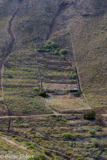 Terrassenanbau  Haría Canarias Spanien by Peter Ehlert in LanzaroteInsel