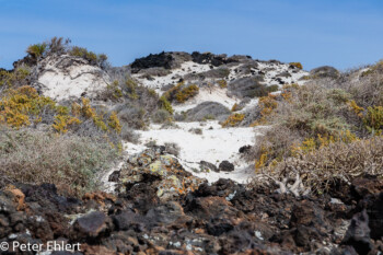 Heller Sandstrand  Haría Kanarische Inseln Spanien by Peter Ehlert in LanzaroteInsel