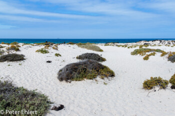 Heller Sandstrand  Haría Kanarische Inseln Spanien by Peter Ehlert in LanzaroteInsel