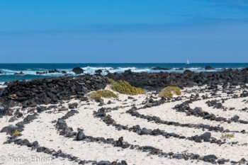 Steinkreise  Haría Kanarische Inseln Spanien by Lara Ehlert in LanzaroteInsel