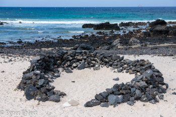 Zocko am Strand  Haría Kanarische Inseln Spanien by Peter Ehlert in LanzaroteInsel