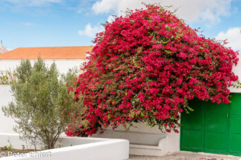 Teguise Kanarische Inseln Spanien by Peter Ehlert in LanzaroteTeguise