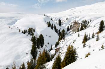 Blick von Larmerbach Alm  Gerlos Tirol Österreich by Peter Ehlert in ZillerKönigsleiten