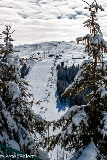 Blick auf Plattenkogel Express  Wald im Pinzgau Salzburg Österreich by Peter Ehlert in ZillerKönigsleiten