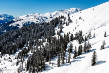 An der Larmerbach Alm  Gerlos Tirol Österreich by Peter Ehlert in ZillerKönigsleiten