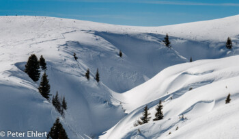 An der Larmerbach Alm  Gerlos Tirol Österreich by Peter Ehlert in ZillerKönigsleiten